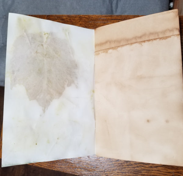 Journal Eco Dyed